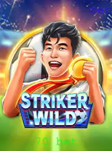 Explorando o Mundo de StrikerWILD: Regras, Estratégias e Novidades