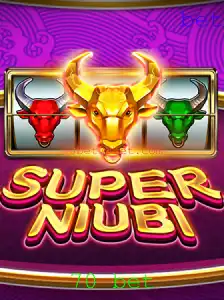 Descubra o Mundo Empolgante de SuperNiubi e o Guia Completo de 70 Bet
